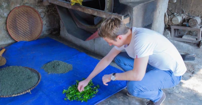La fabrication du Thé Vert Tonique ĐẠI TỪ “CREVETTES” au Vietnam 4