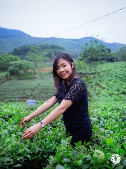 blog thumbnail the du vietnam thes rares thes vietnamiens tea teas 1 1 | Thé du Vietnam