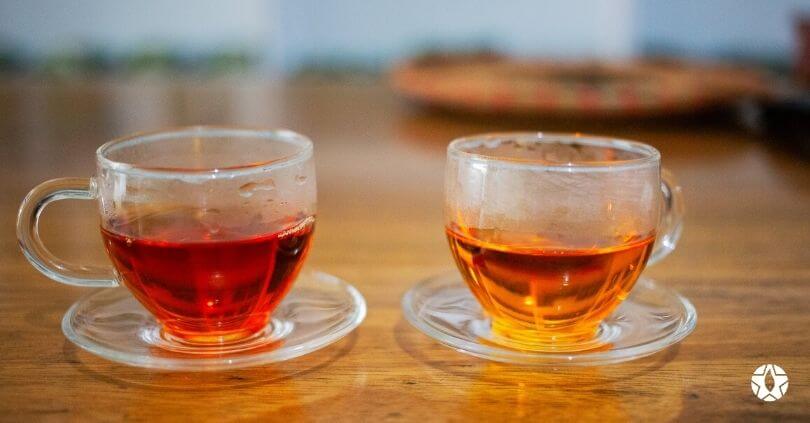 blog the du vietnam thes rares thes vietnamiens tea teas 9 1 | Thé du Vietnam