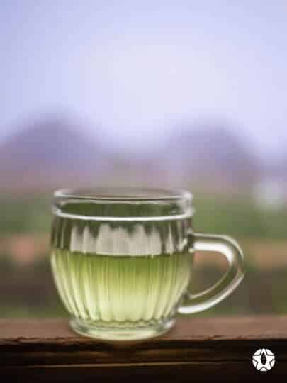 blog thumbnail the du vietnam thes rares thes vietnamiens tea teas 5 1 | Thé du Vietnam