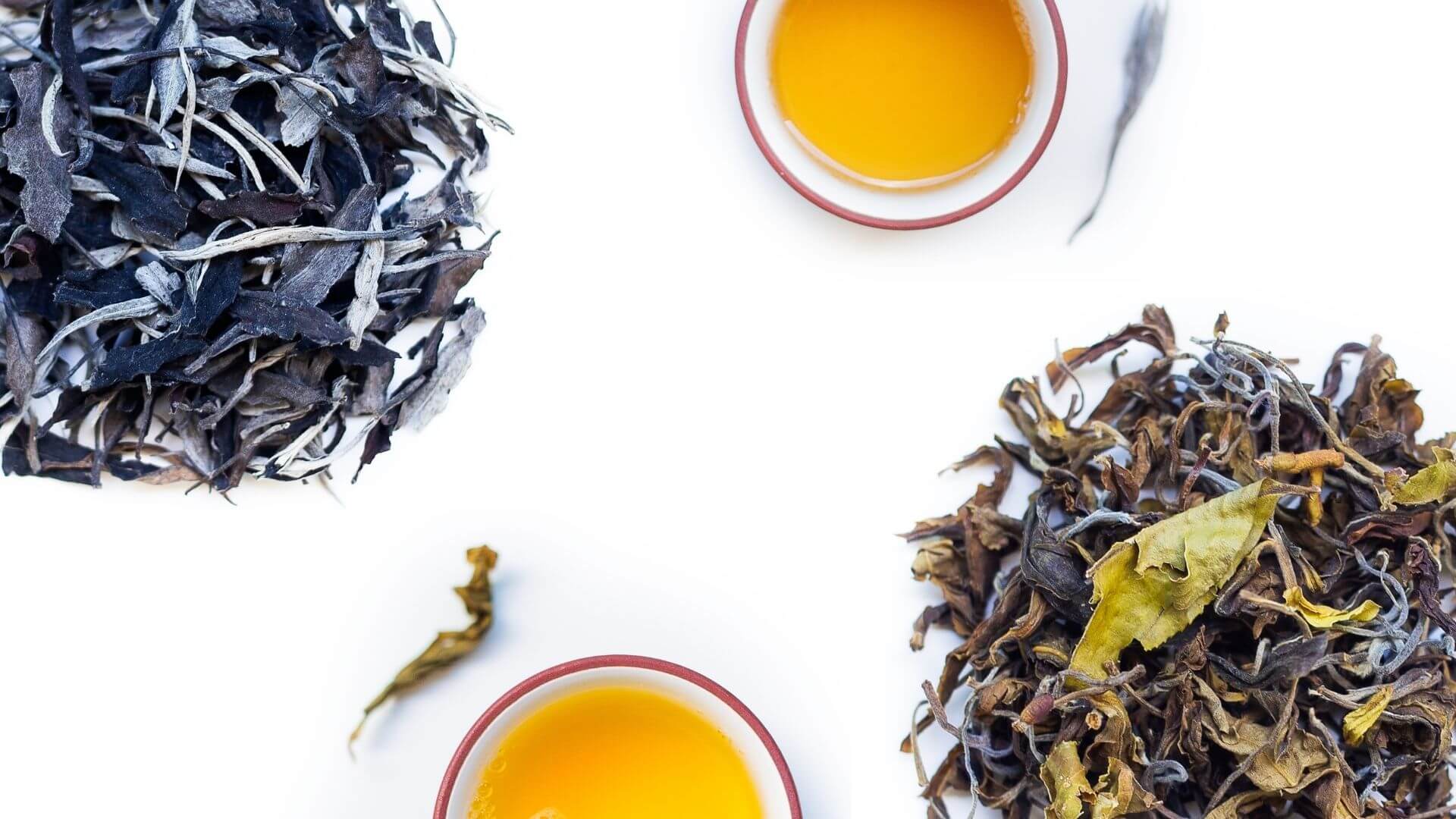 La semaine du thé blanc ! Découvrez nos 2 nouveaux Pai Mu Tan sauvages cueillette 2021 !