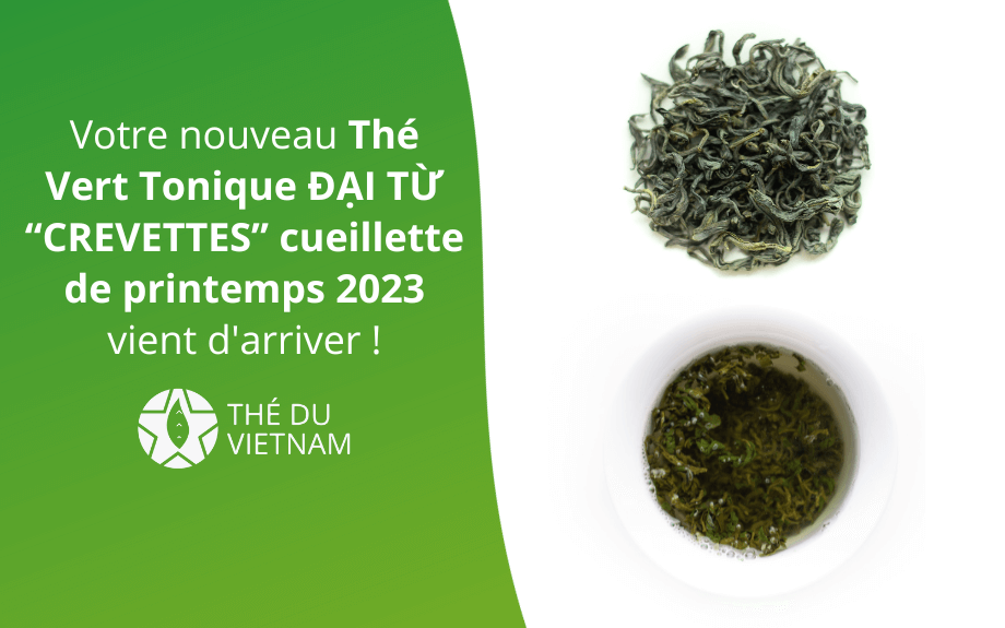 Votre nouveau Thé Vert Tonique ĐẠI TỪ “CREVETTES” cueillette de printemps 2023 vient d’arriver !