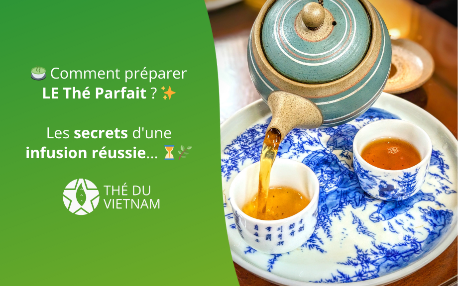 Comment préparer le thé parfait ? Les secrets d'une infusion réussie